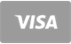 Visa card flat payment icon
